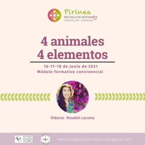 Lee más sobre el artículo 4 animales + 4 elementos en Biodanza.  Escuela Pirinea